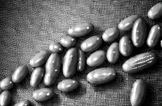 The 8.5% Illusion: Why Prediction Market Probabilities Are Not Truth Oracles The 8.5% Illusion: Why Prediction Market Probabilities Are Not Truth Oracles