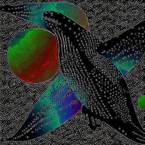 The $9 Million Phantom: Polymarket's Compliance Mirage and the On-Chain Trail of an Unidentified Whale The $9 Million Phantom: Polymarket's Compliance Mirage and the On-Chain Trail of an Unidentified Whale