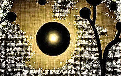 The Optical Gateway: Zhongji Innolight’s Hong Kong IPO Exposes the Hidden Infrastructure Bottleneck for Decentralized AI