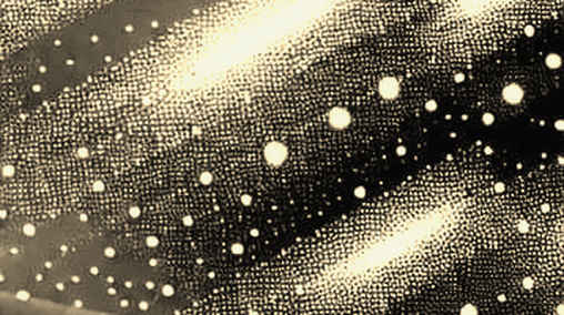 The Whale Ledger: Micron Metaphor and the Decentralized Storage Mirage
